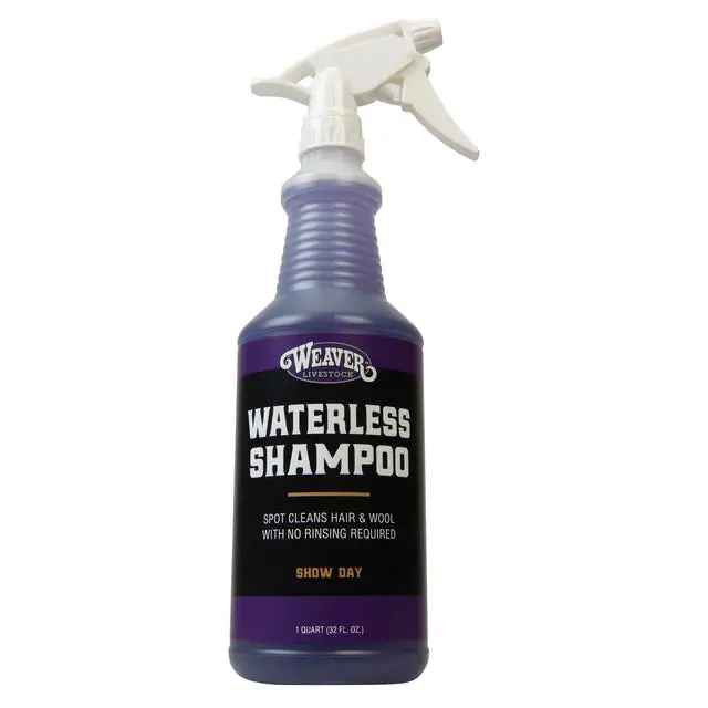 Waterless Shampoo 1