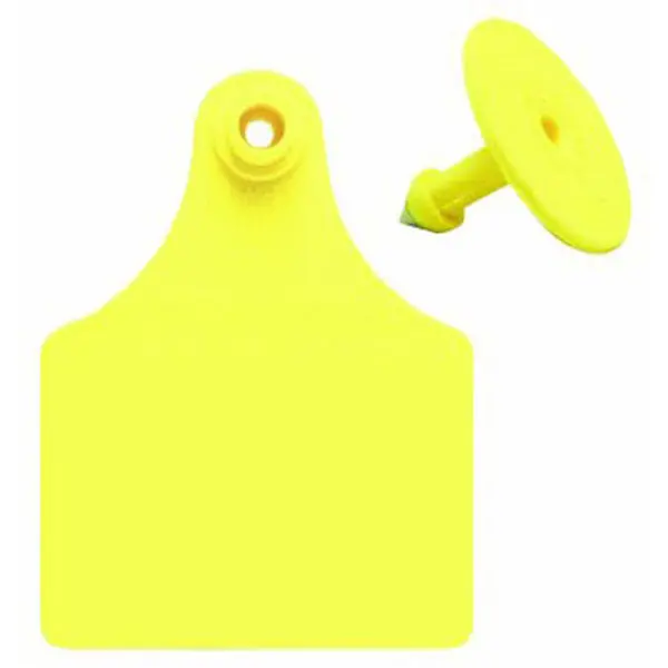Blank Yellow Allflex: Maxi Fem/Sm Male 1