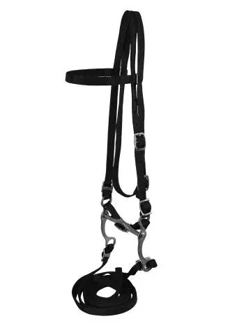 Horse Size Nylon Headstall With Bit And Reins 1