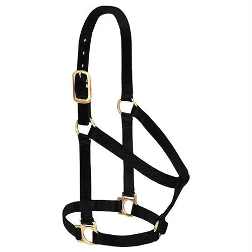 Basic Non-Adjustable Halter - Small Black 1