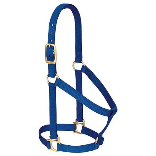 Basic Non-Adjustable Halter - Average Blue 1
