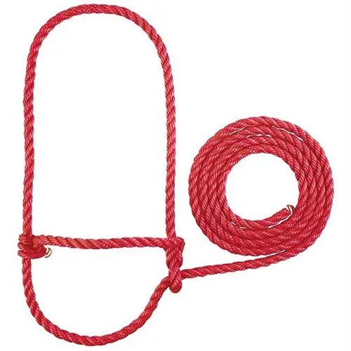 Rope Halter, Calf 1