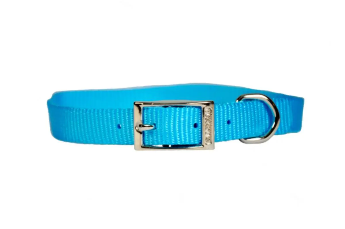 16" Turquoise-Collar 1 3/4" Double Layer 1
