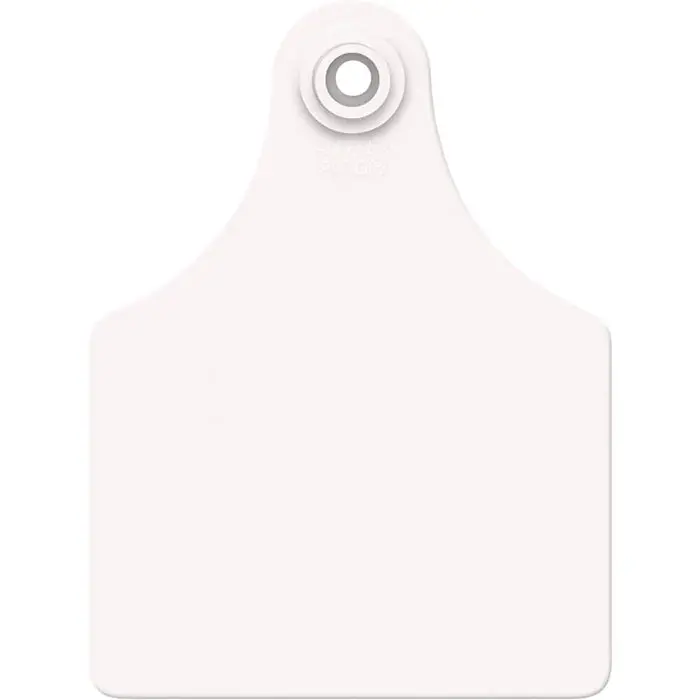 Lg. Female/Sm Male - Blank  - White 1