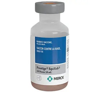 Prestige Equirab - 10 Ml (10 Doses) 1