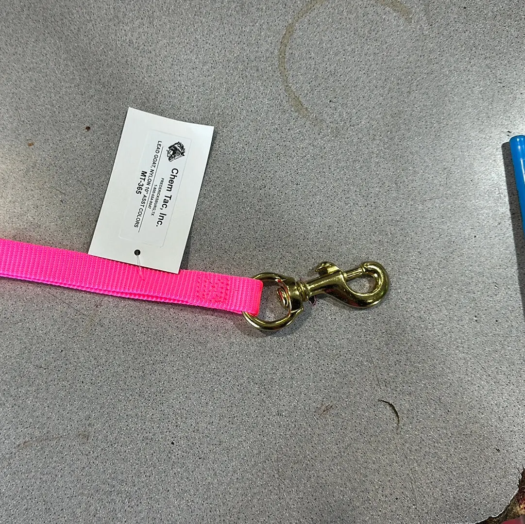 Lead, Goat, Nylon 10" Pink 1