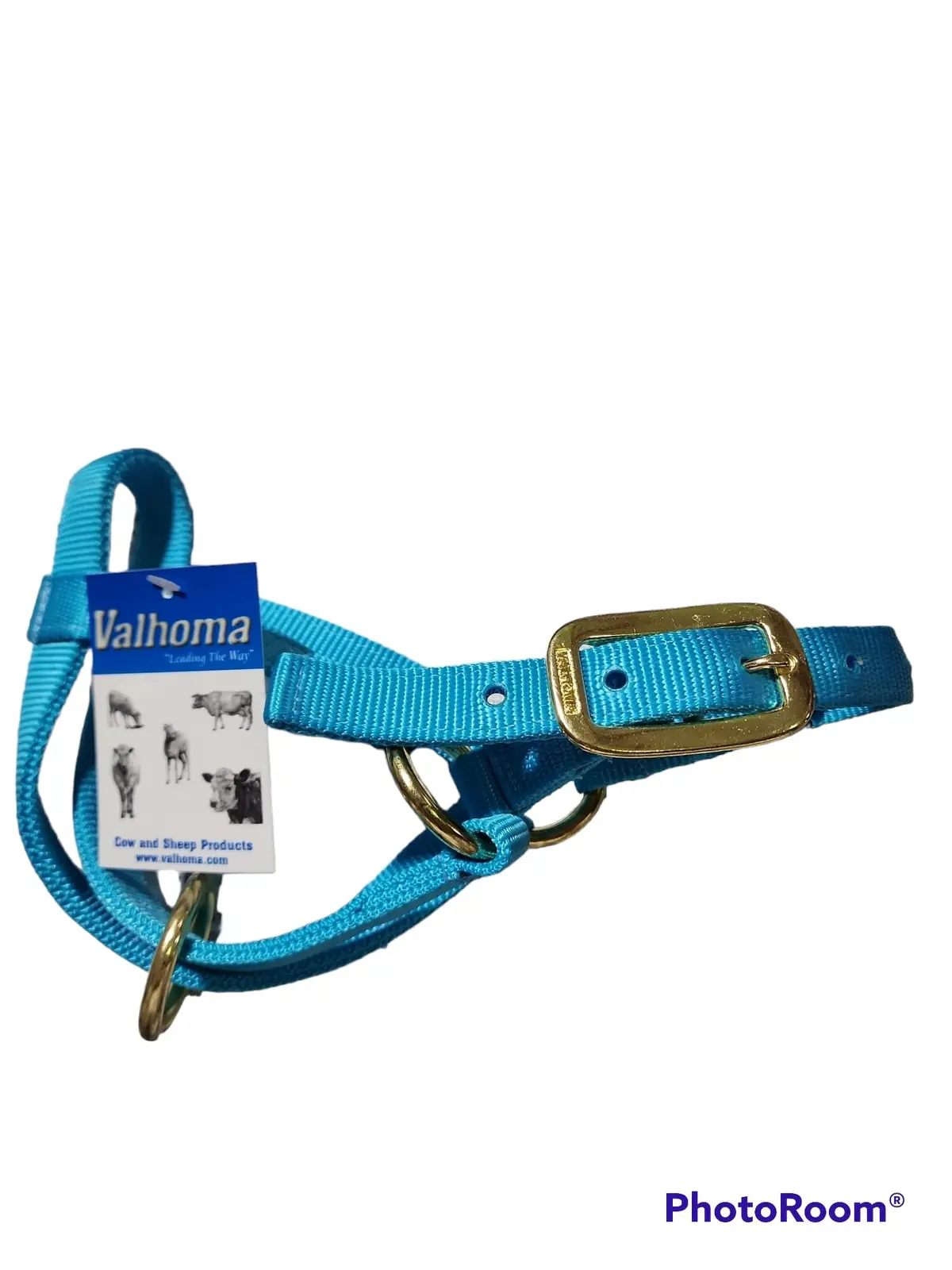Valhoma: Halter - Goat Nanny - Turquiose 1