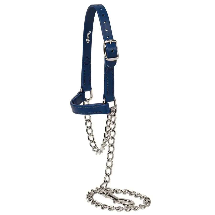 Medium Sheep And Goat Brahma Webb® Halters, Blue 1