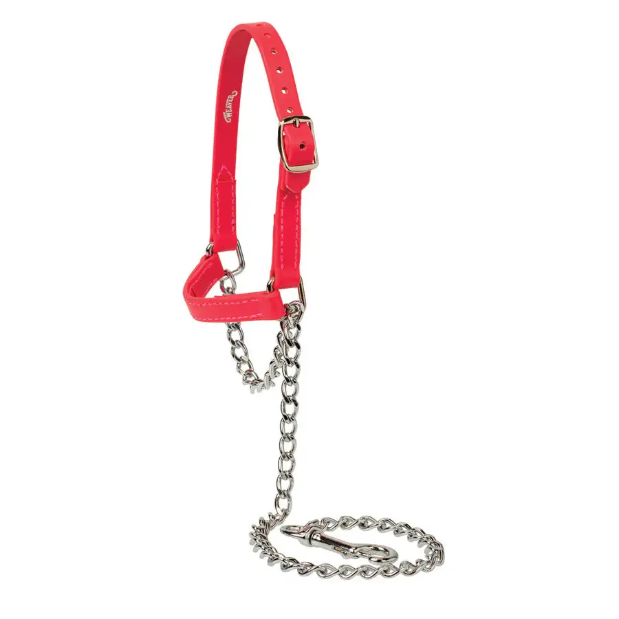 Medium Sheep And Goat Brahma Webb® Halters Strawberry 1