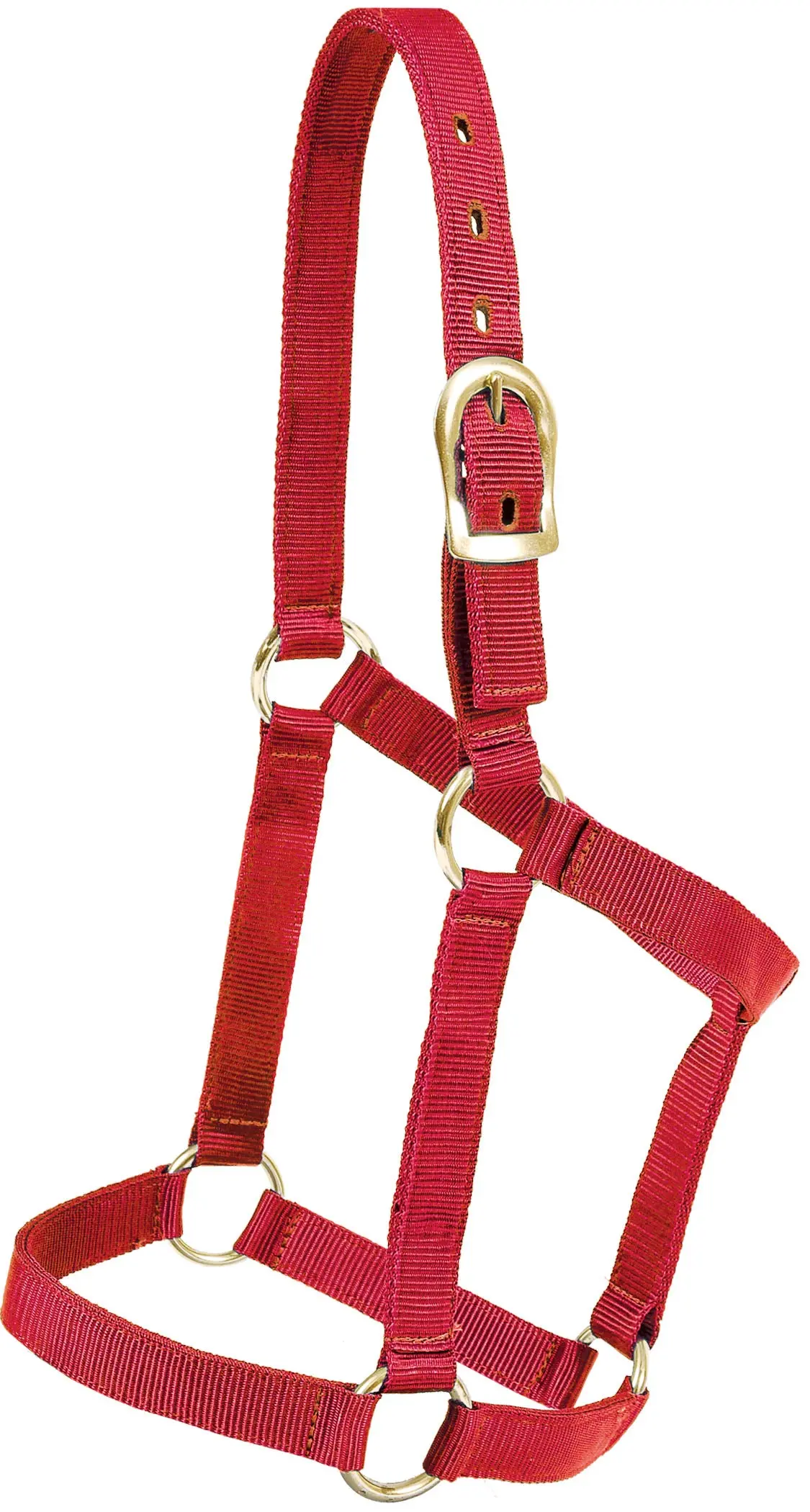 Regular 1" Poly Halter - Red 1