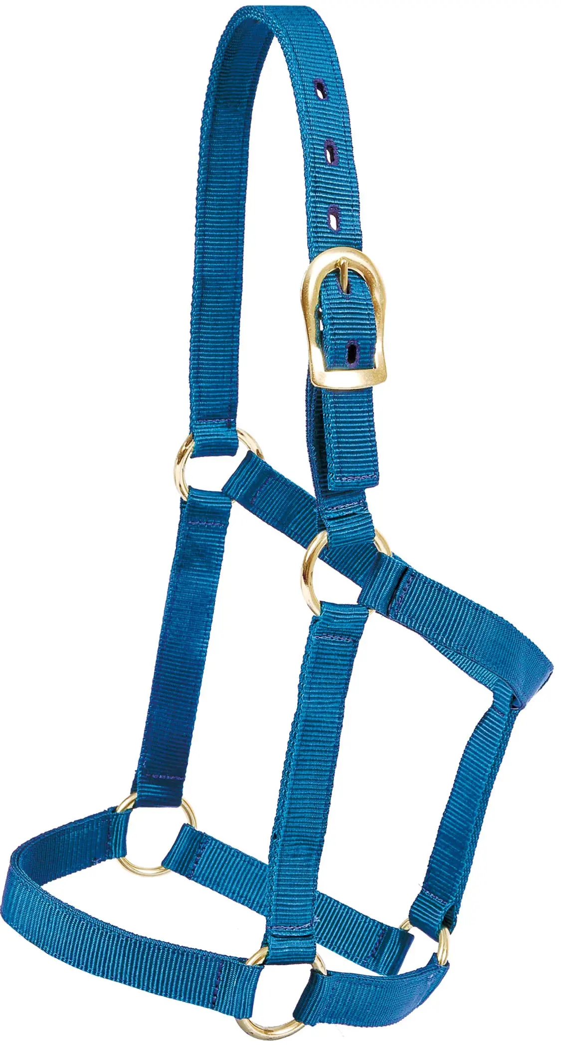 Regular 1" Poly Halter - Blue 1