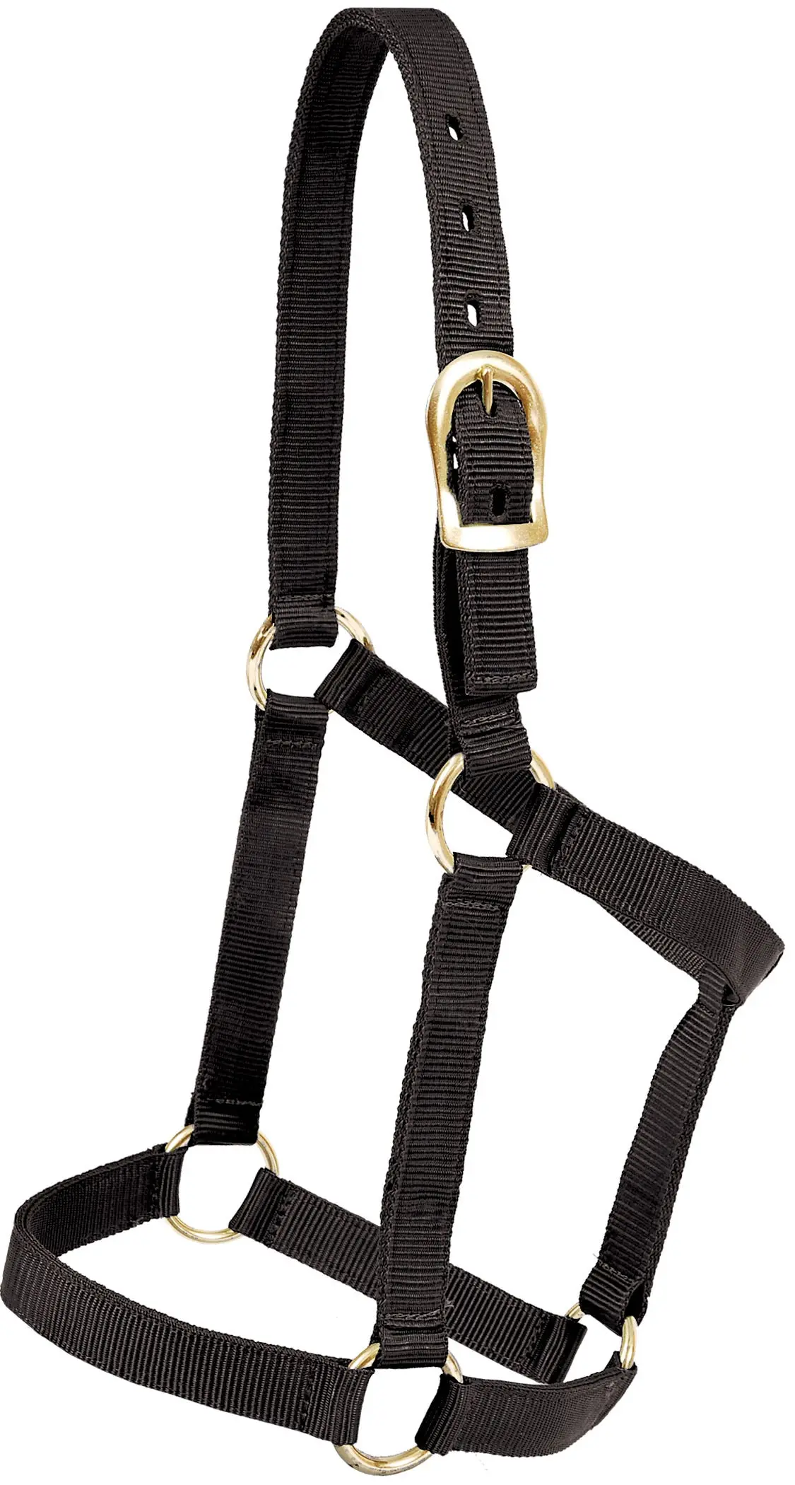 Regular 1" Poly Halter - Black 1