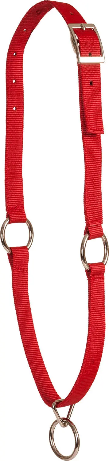 Neck Collar 1" - Red 1