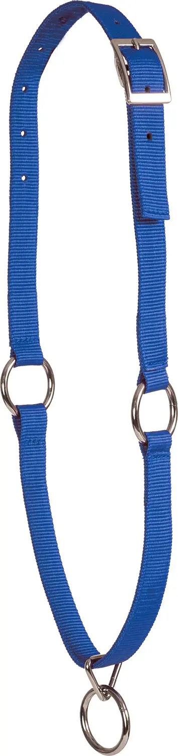Neck Collar 1" - Blue 1
