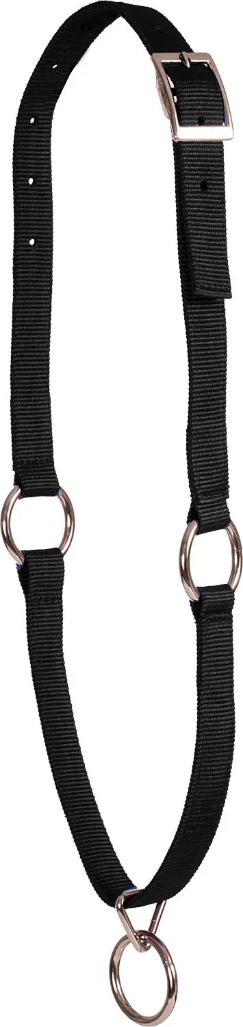 Neck Collar 1" - Black 1