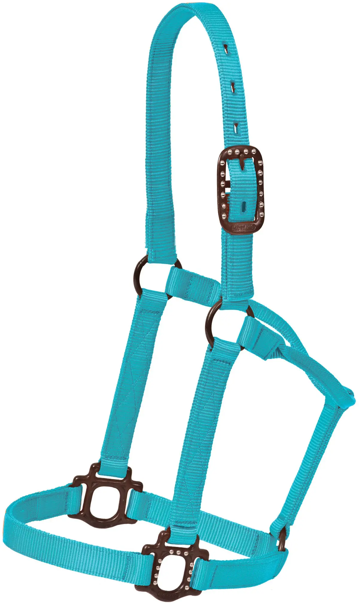 Antique Dot Halter 1" - Aqua 1