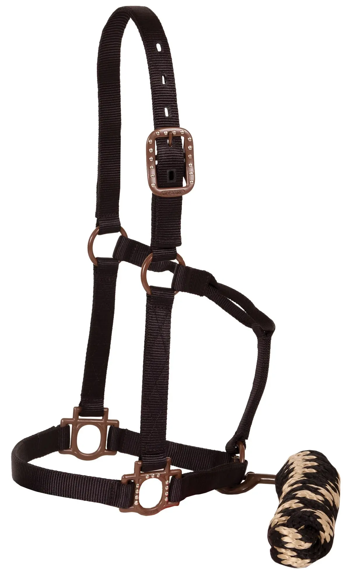 Antique Dot Halter 1" With Lead - Black 1
