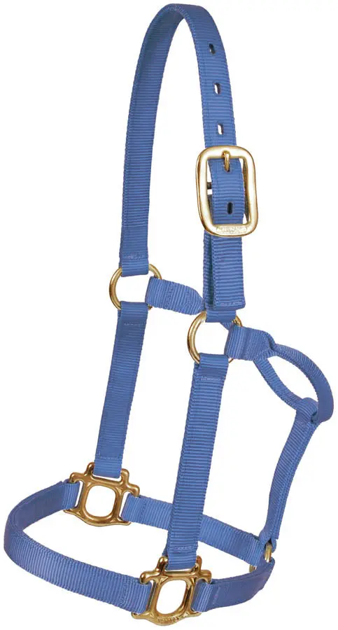 Traditional Nylon Halter - Blue 1