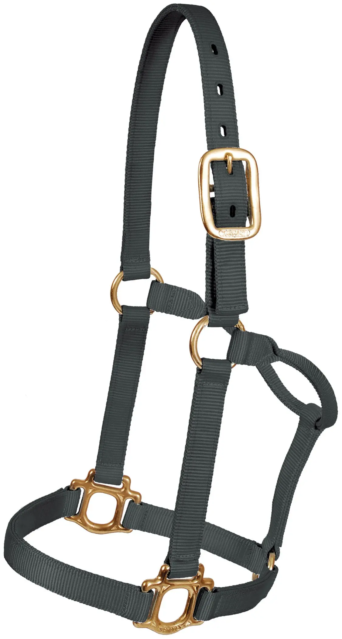 Traditional Nylon Halter - Black 1