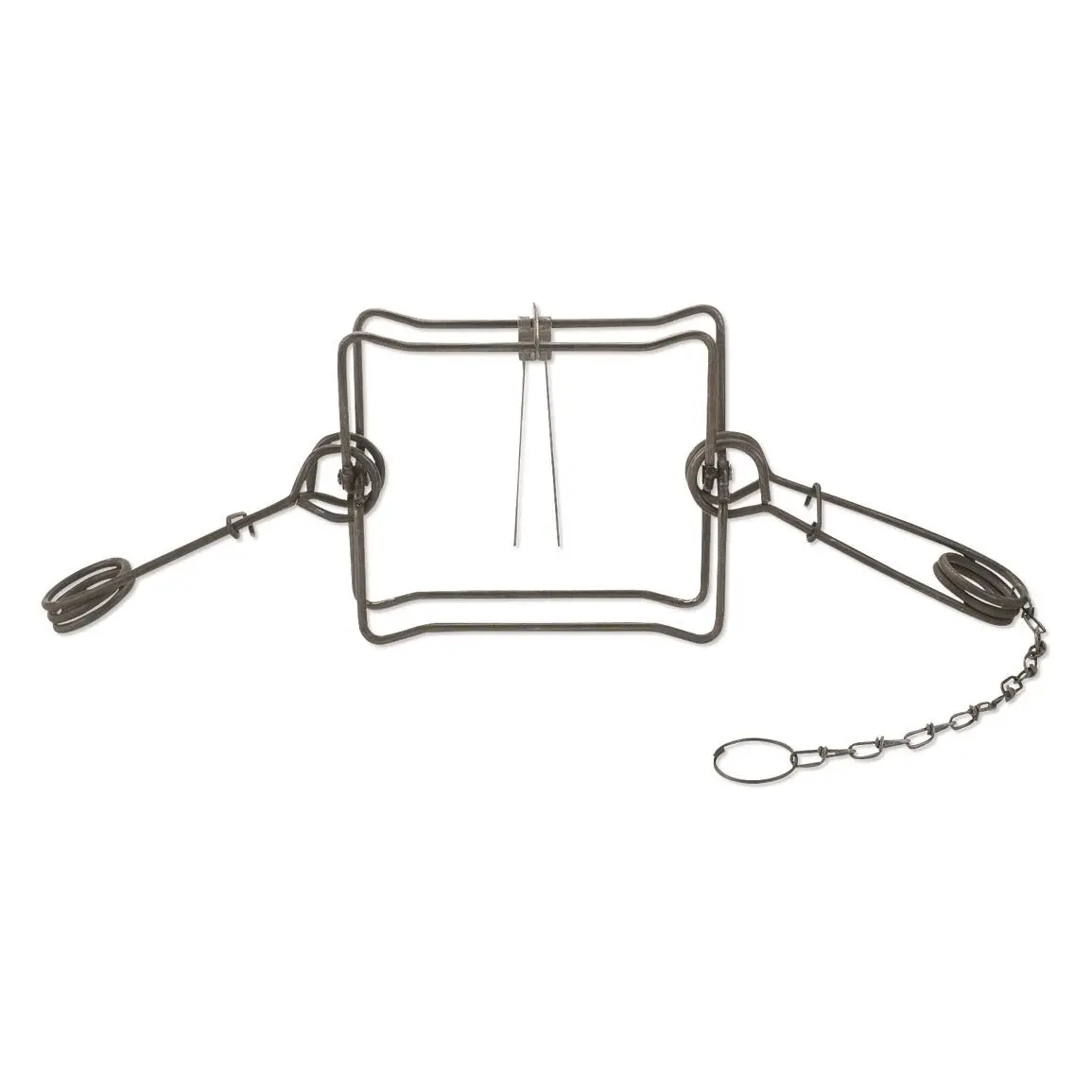 Body Trap / Trampa Coyote Small 1