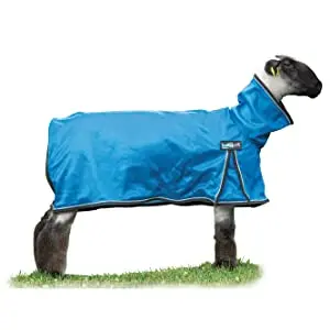 Procool™ Sheep Blanket With Reflective Piping - Medium Blue Or 1
