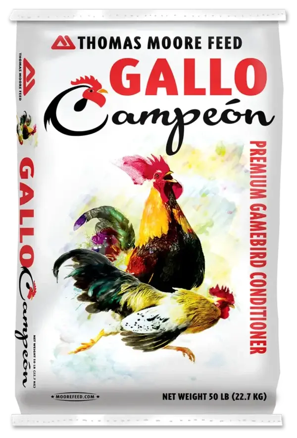 Gallo Campeon Conditioner 16% 1