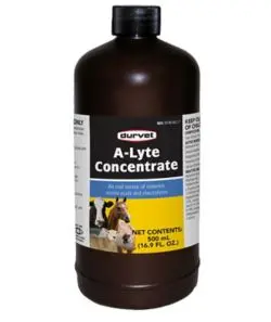 A-Lyte Concentrate 500Ml 1