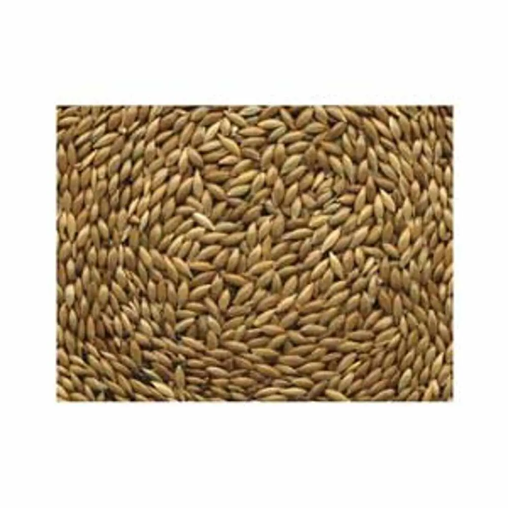 Canary Seed 50 Lbs - Alpistle 50Lb 1