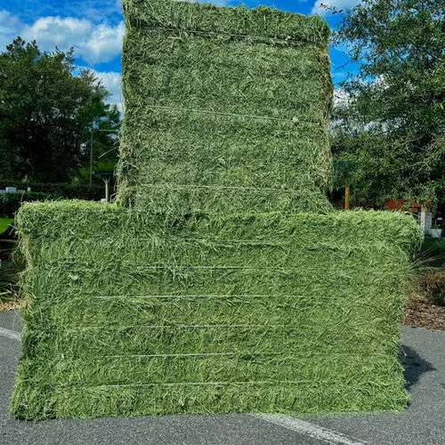 Alfalfa Super Bale 3X4x8 1