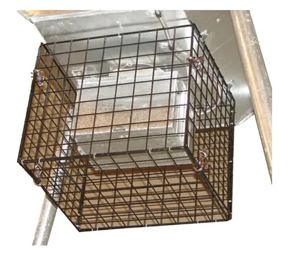 Asf Varmint Basket Deer Feeder Guard 1
