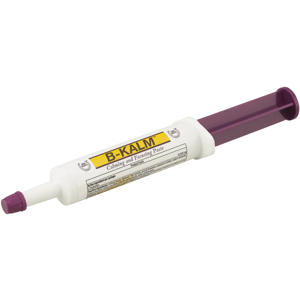 B-Kalm Calming And Focusing Paste 1