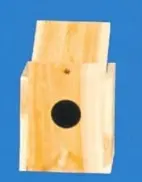 Nesting Box Parakeet, Reverse 1