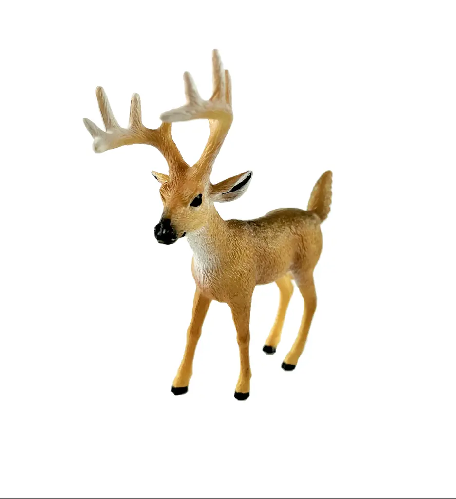 White-Tailed Buck 1