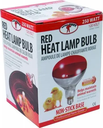 Red Heat Lamp Bulb 1