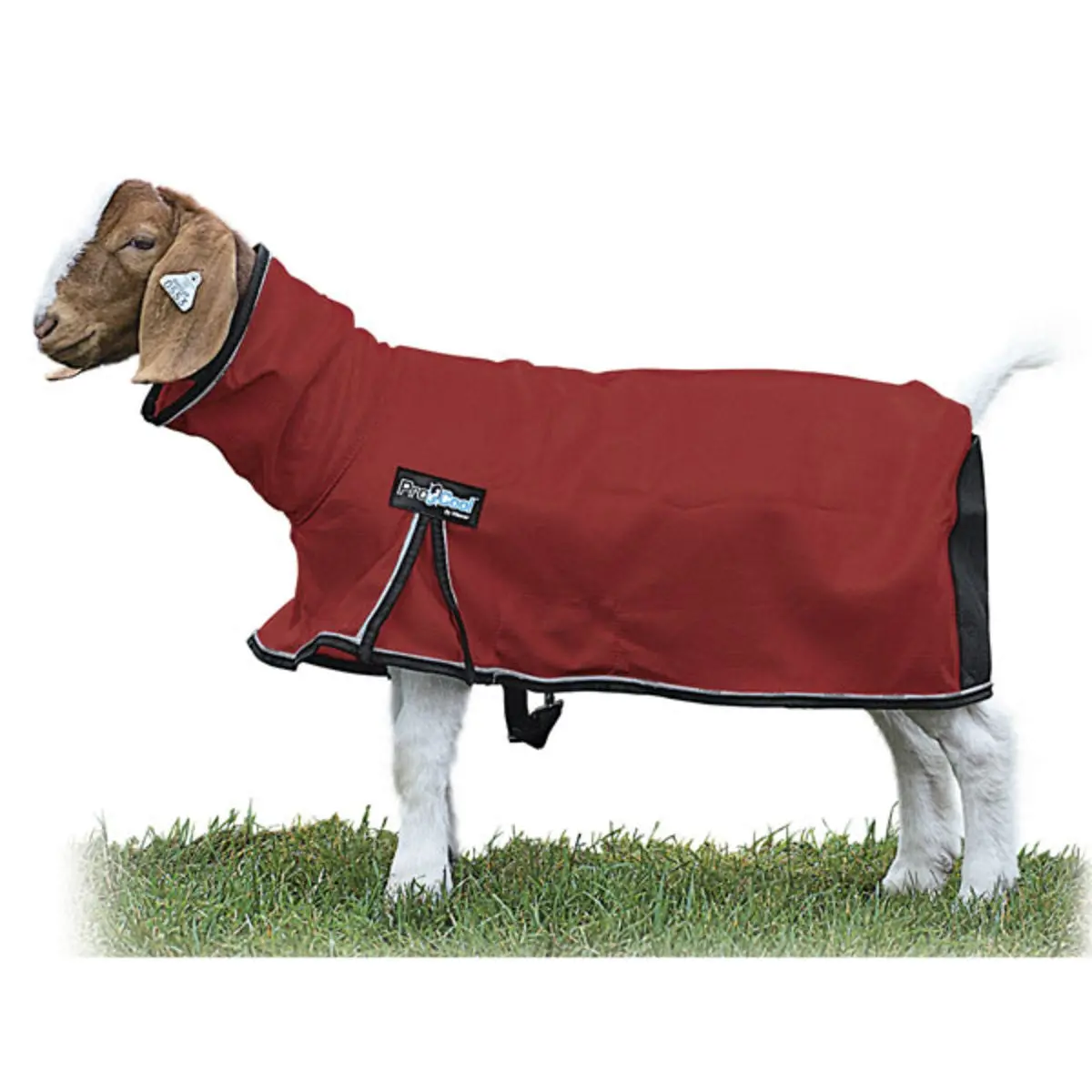 Goat Blanket Cool Mesh Red Med 1