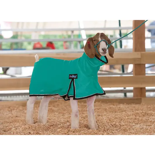 Procool Goat Blanket With Reflective Piping - Medium Teal 1