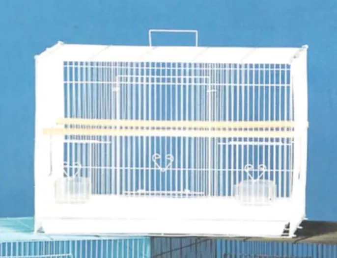 Breedg. Cage 24X16x16h White 1