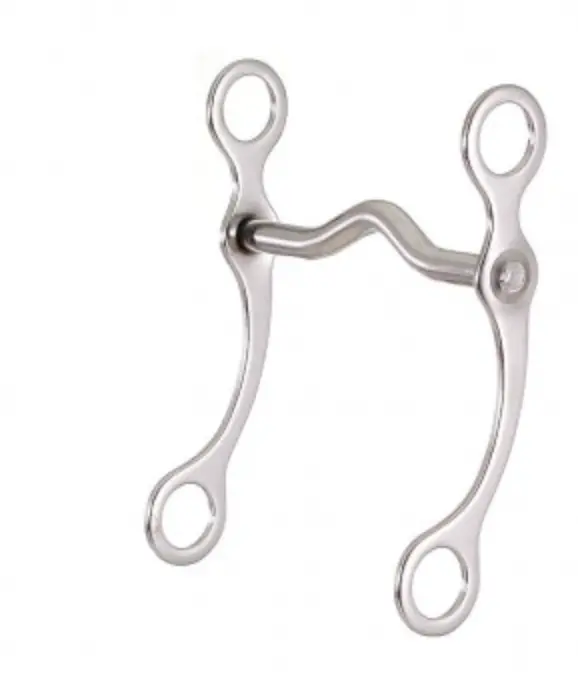 Kelly Silver Star Curb Bit 1