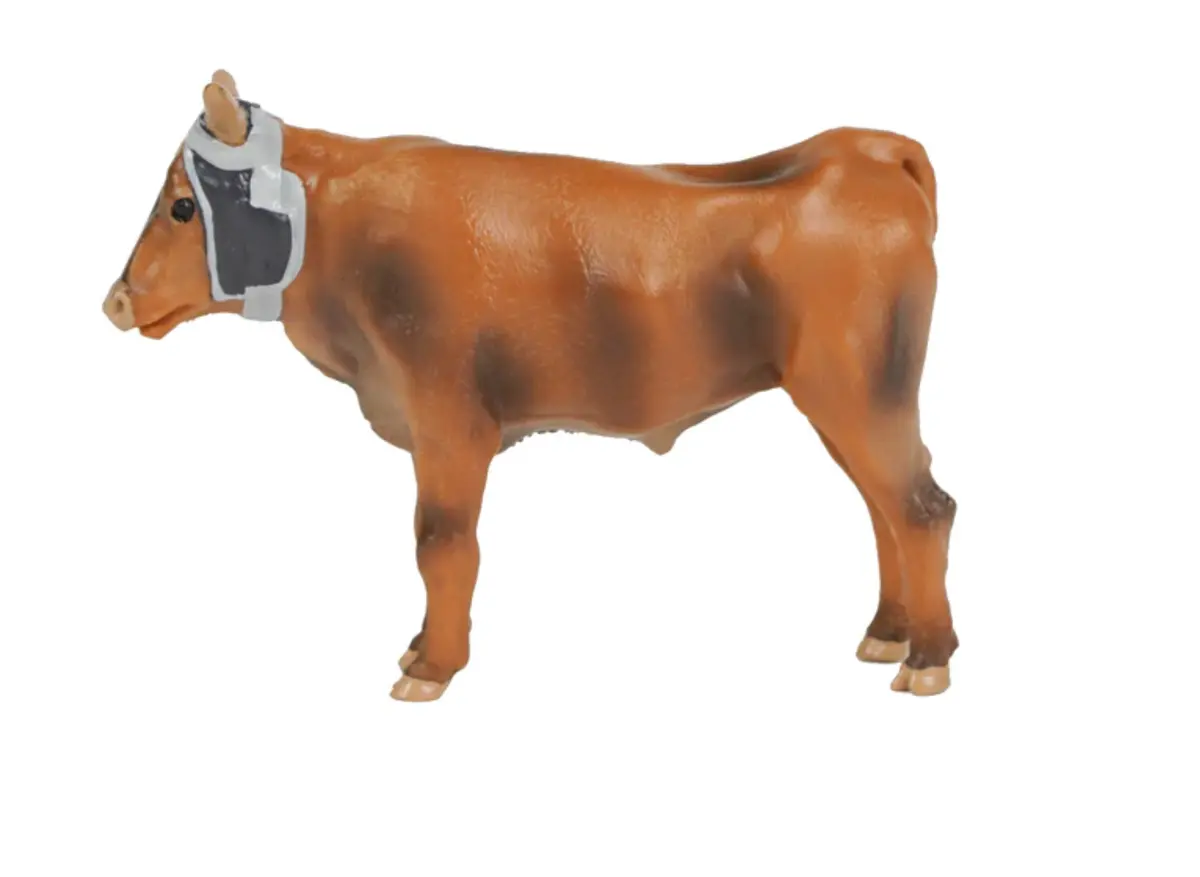 Roping Steer Ecom 1