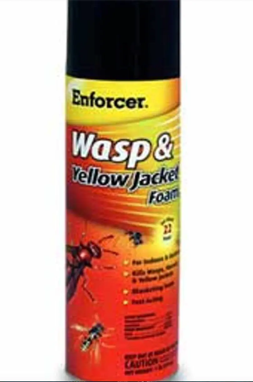 Enforcer: Wasp & Yellow Jacket Foam 1