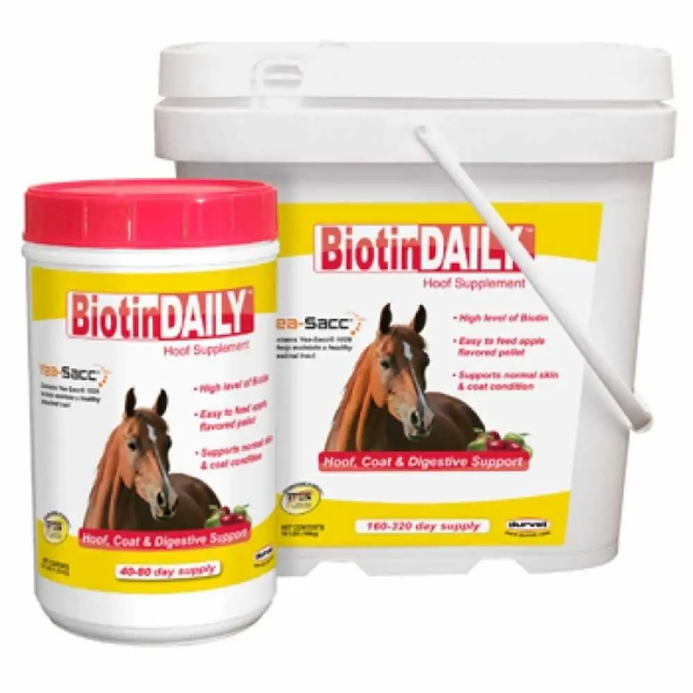 Biotin Daily Hoof Supplement 1