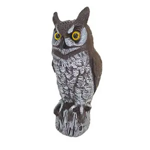 Horned Owl/ Buho 1