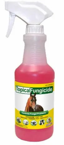 Durvet: Topical Fungicide - 32 Oz 1