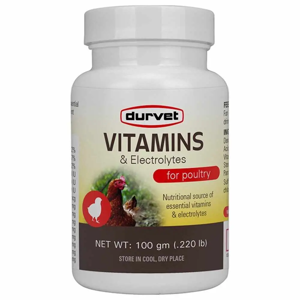 Vitamins & Electrolytes 100Gm 6/Cs 1