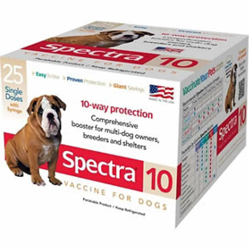 Spectra 10 1Ds W/Syringe 1