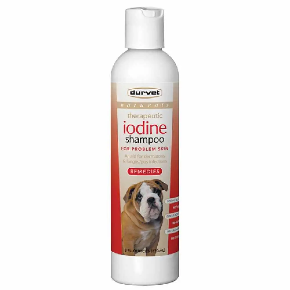 Iodine Shampoo-Therapeutic 8Oz 1