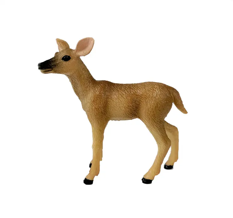 White Tailed Doe 1