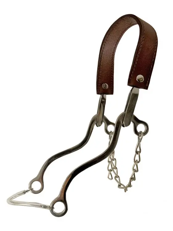 Showman ® Stainless Steel Hackamore With Leather Strap. 1