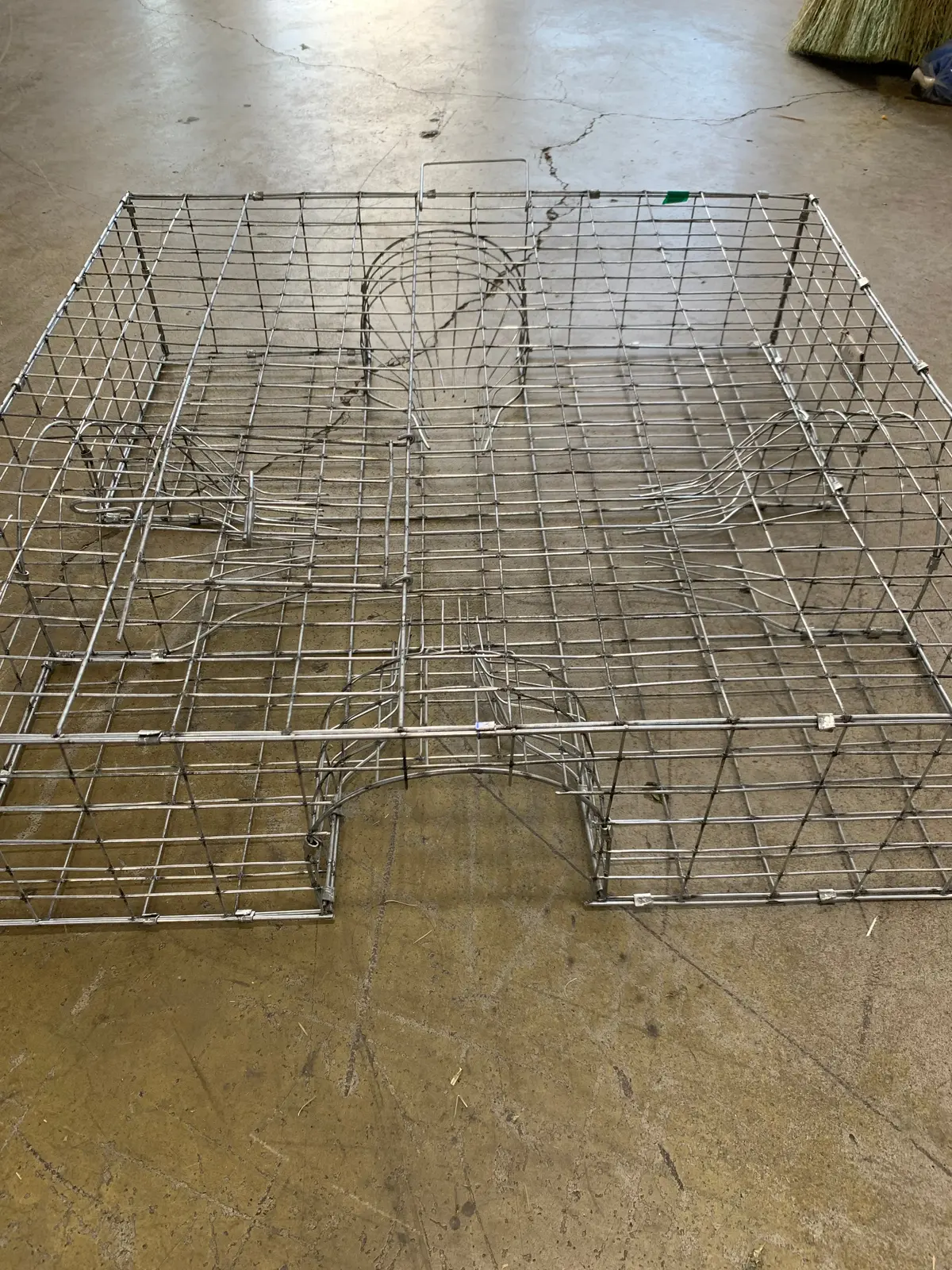 Jaula Trampera, Codorniz - 24 X 24 X 6 1
