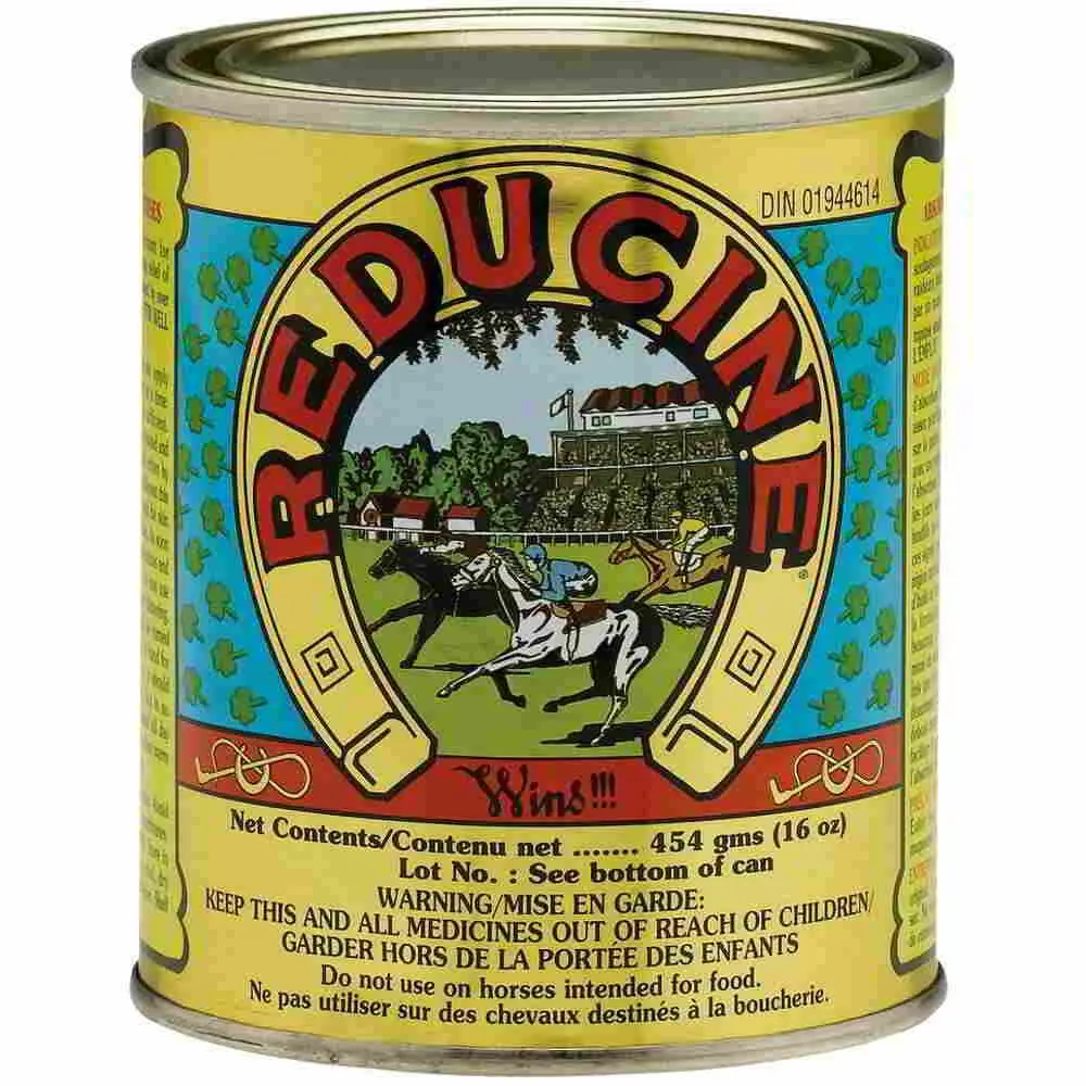Reducine Absorbent F/Horses 16Oz 1